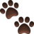 🐾